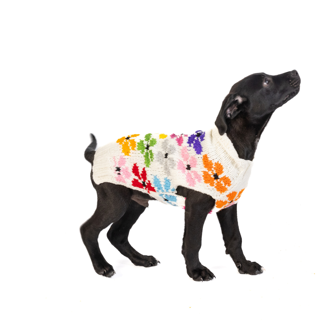 Chilly Dog Bloom Dog & Cat Sweater