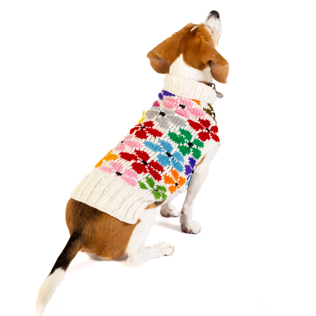 Chilly Dog Bloom Dog & Cat Sweater
