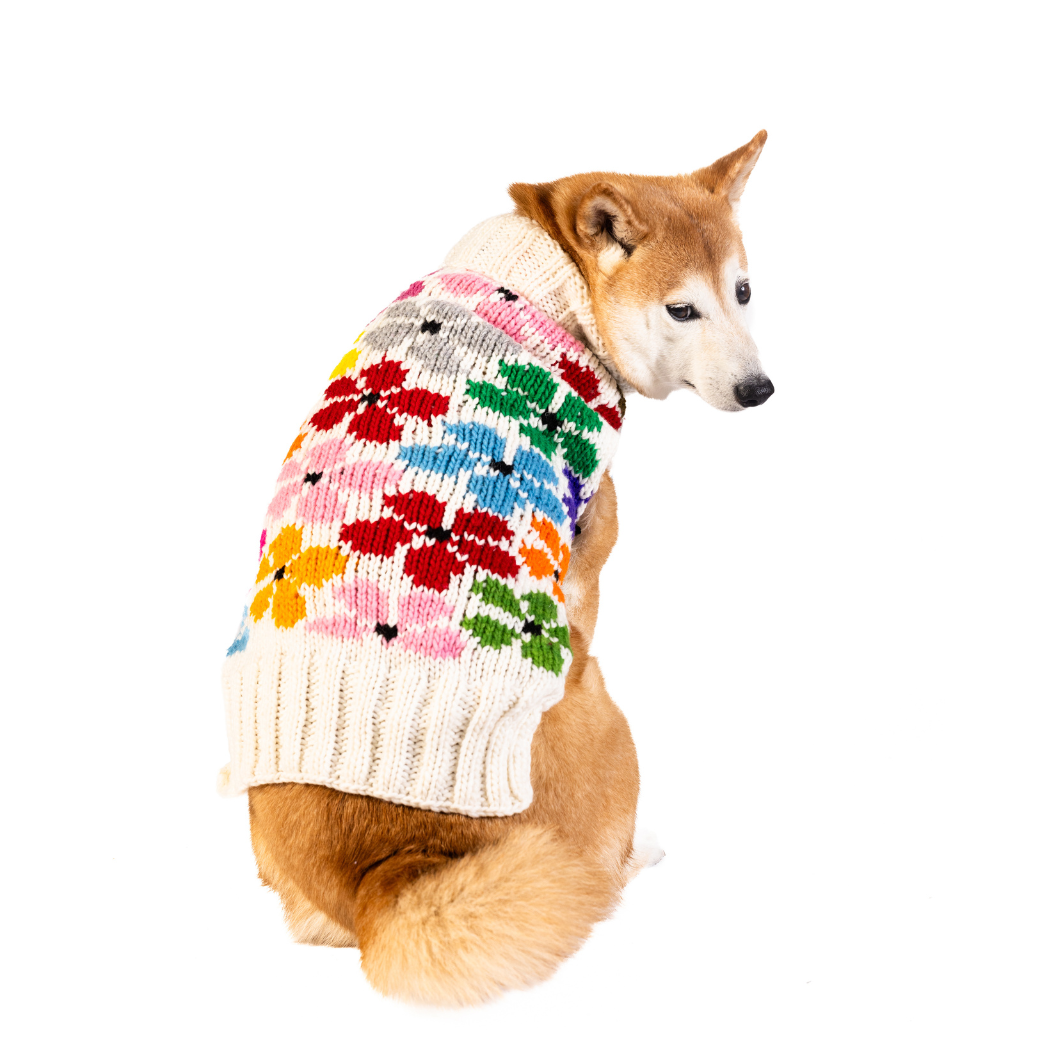 Chilly Dog Bloom Dog & Cat Sweater