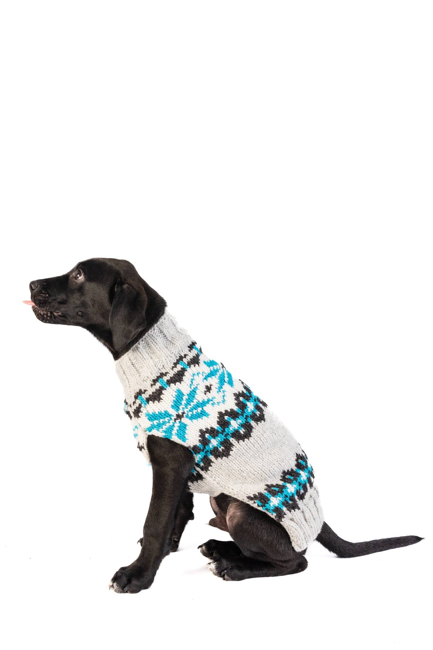 Chilly Dog Frost Dog & Cat Sweater