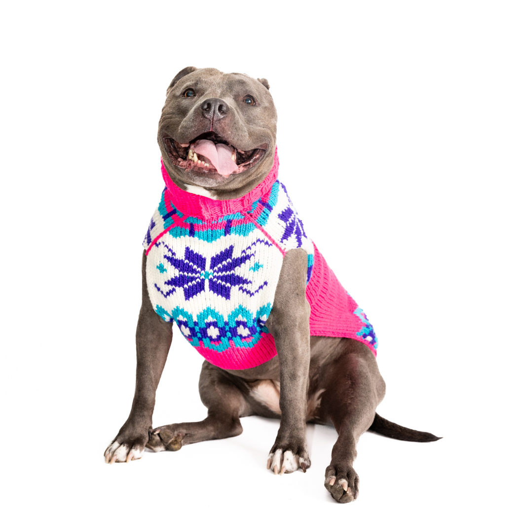 Chilly Dog Elsa Dog & Cat Sweater