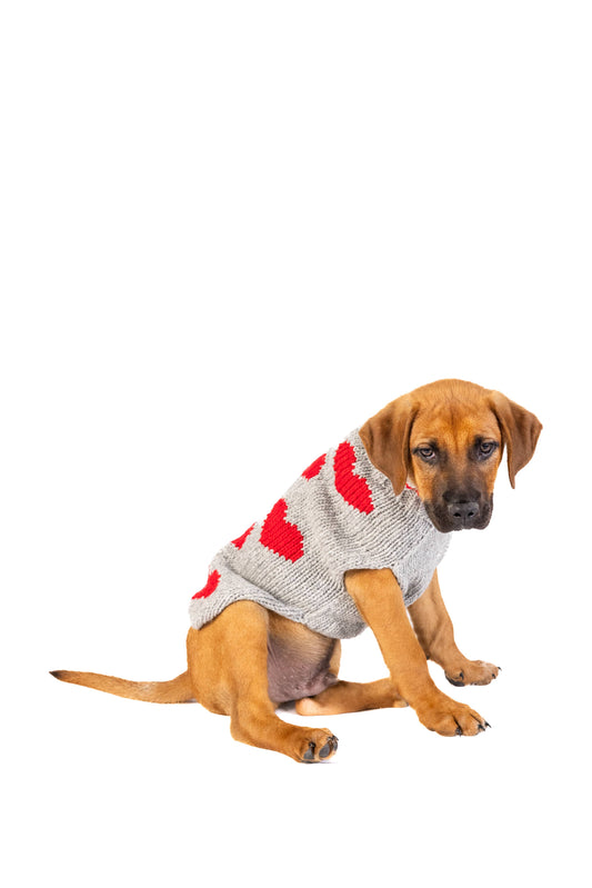 Red Hearts Dog Sweater