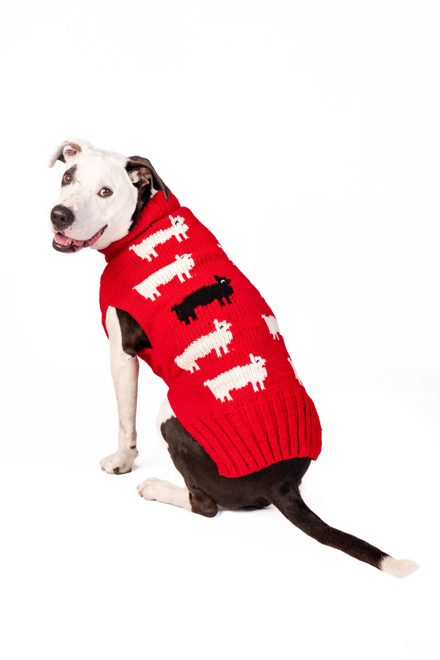 Chilly Dog Black Sheep Dog & Cat Sweater