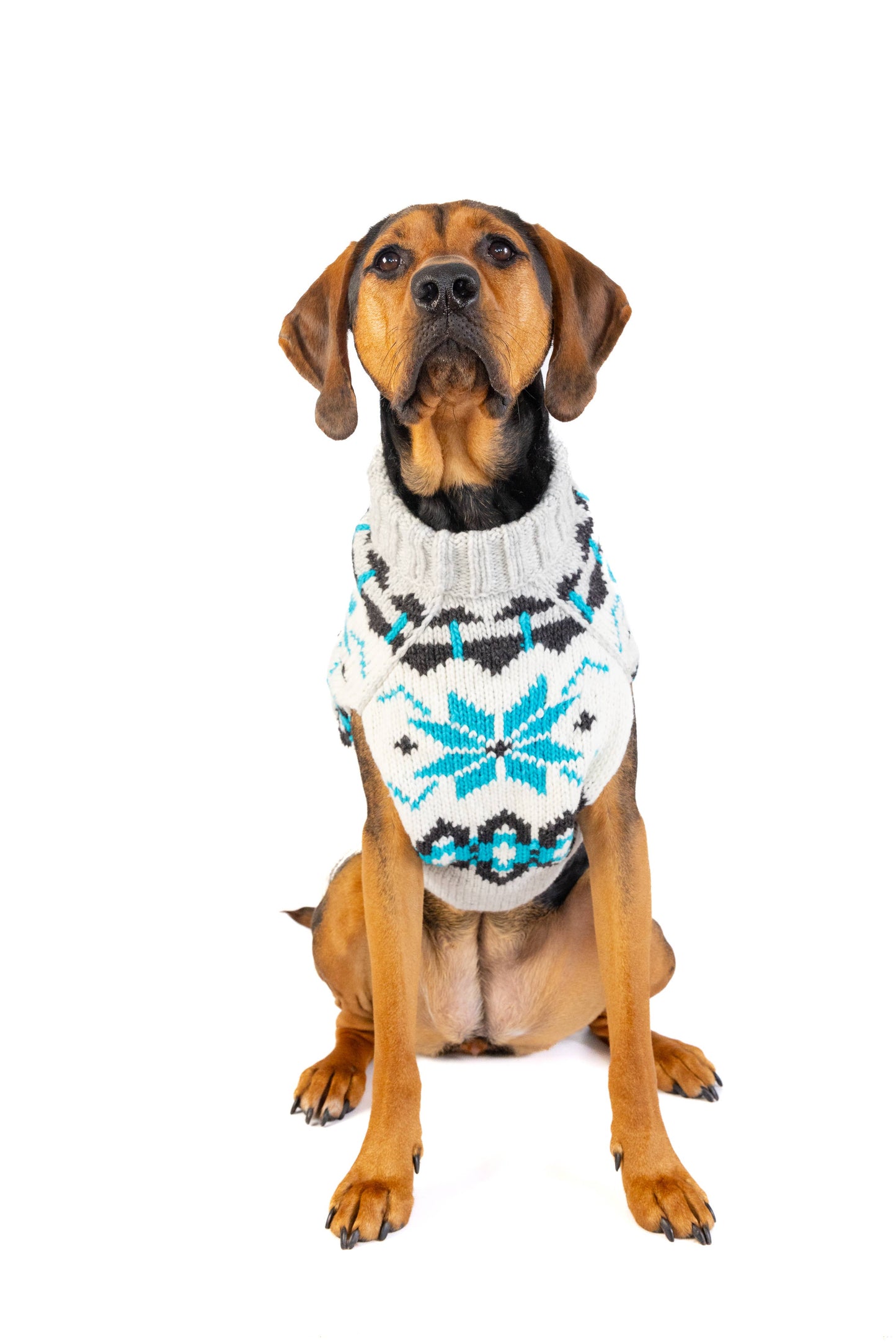 Chilly Dog Frost Dog & Cat Sweater