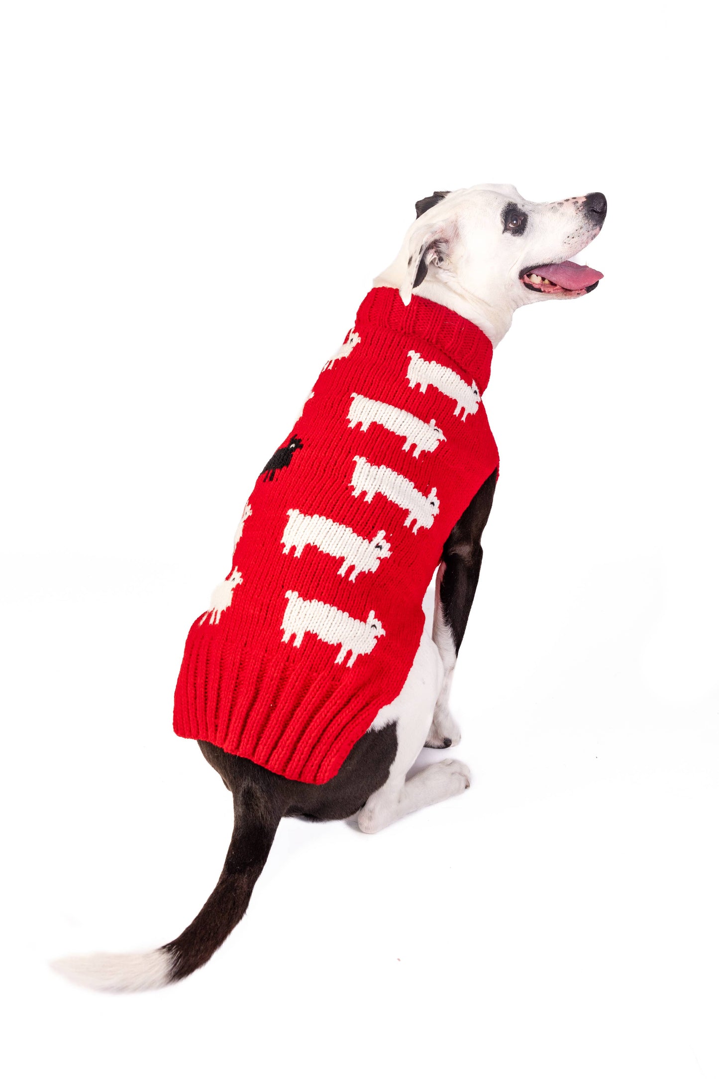 Chilly Dog Black Sheep Dog & Cat Sweater