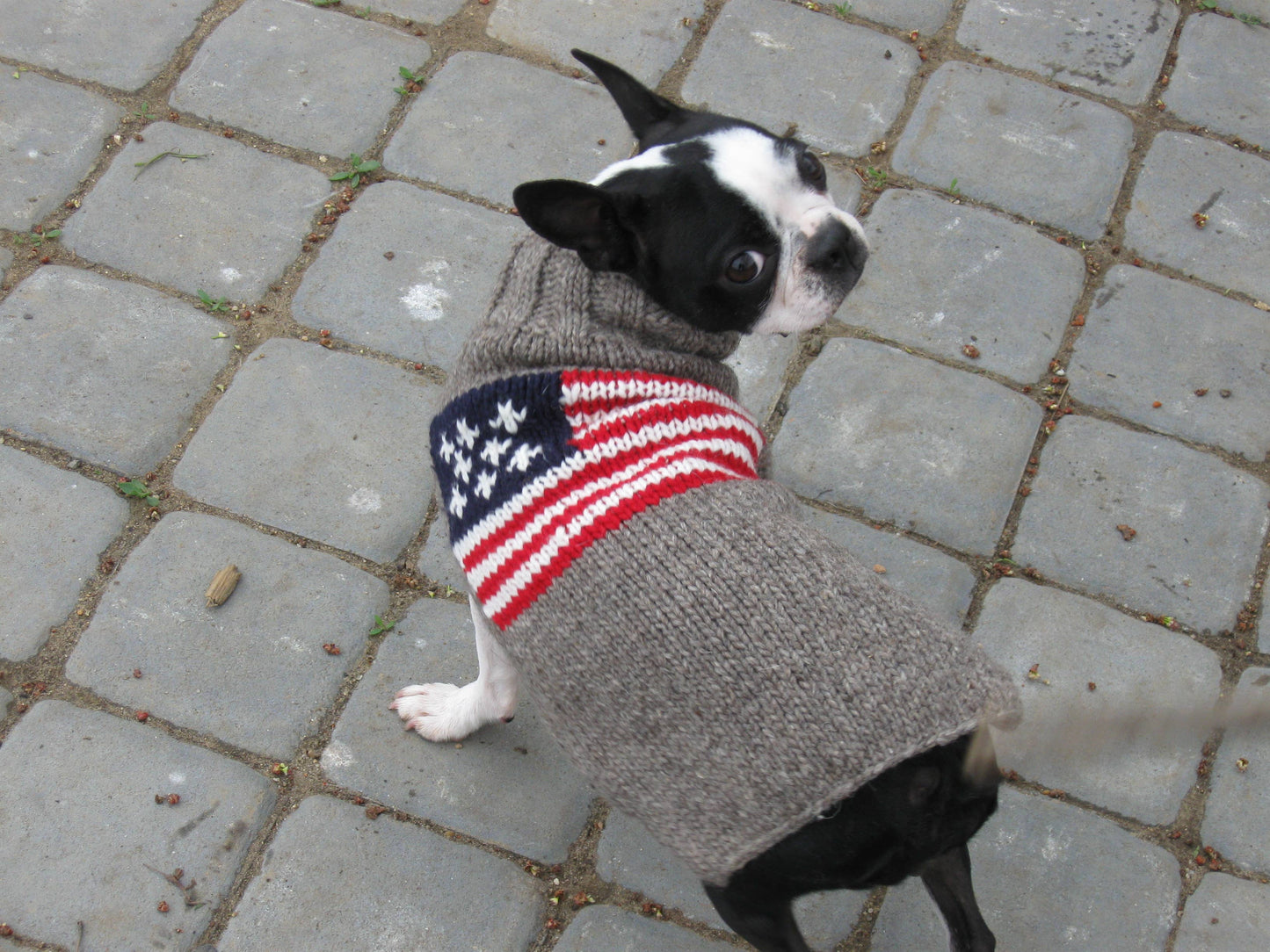 American Flag Dog Sweater