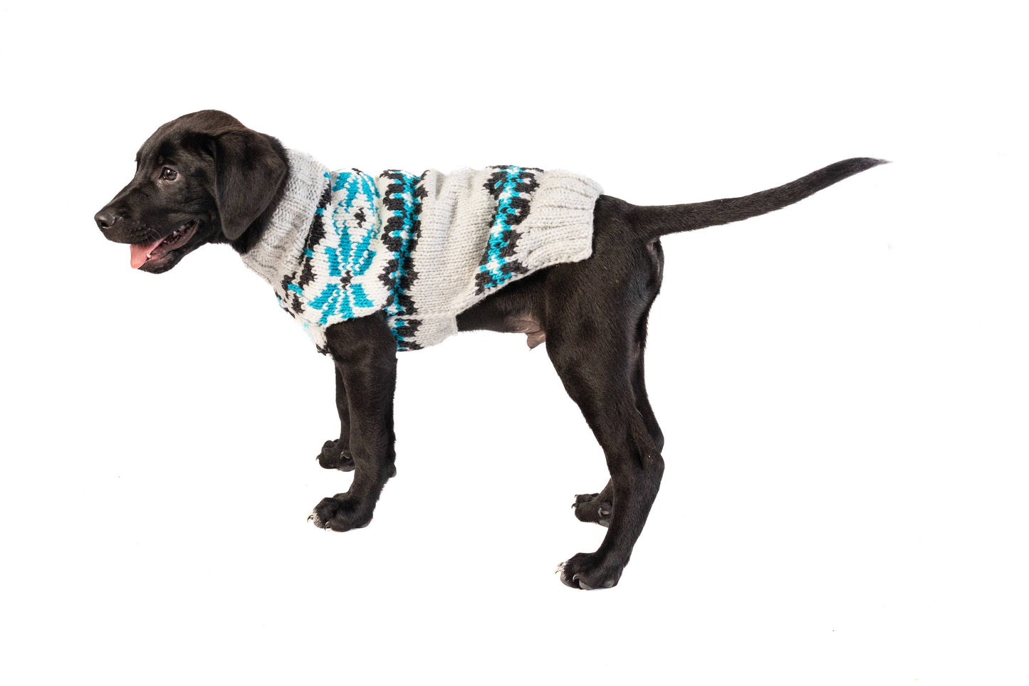 Chilly Dog Frost Dog & Cat Sweater