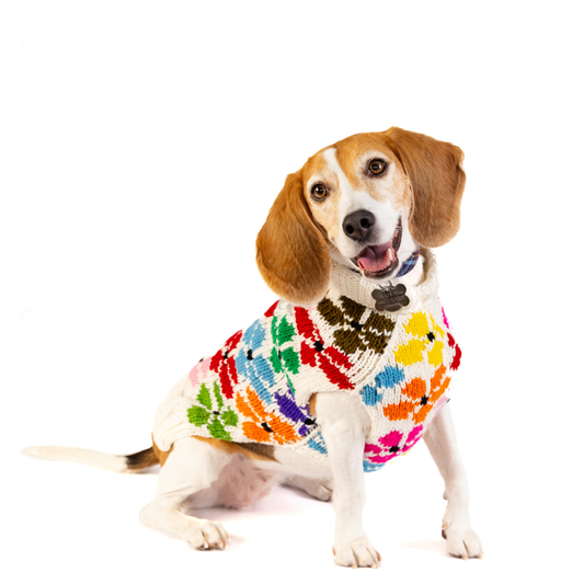 Chilly Dog Bloom Dog & Cat Sweater