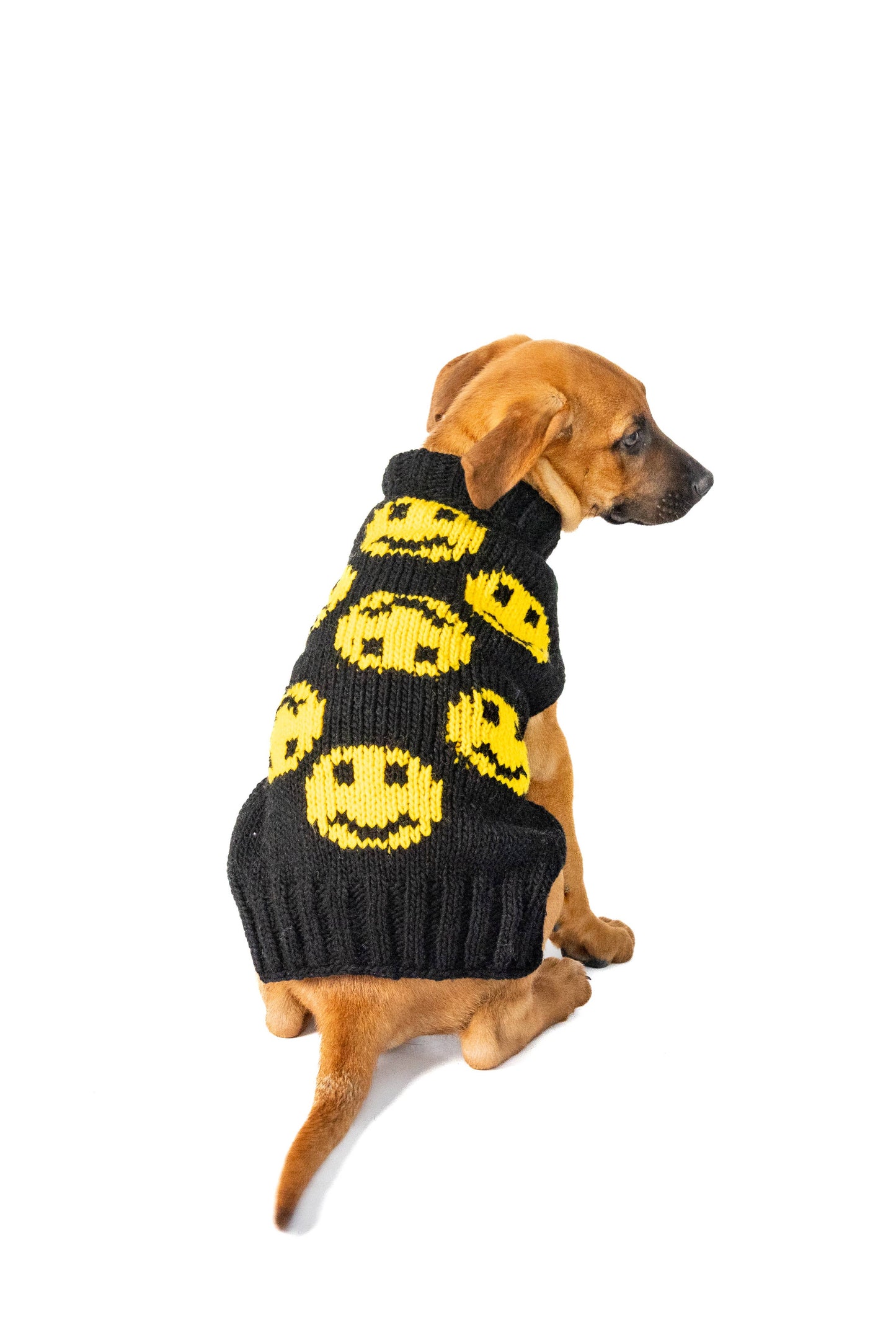 Chilly Dog Smiley dog and cat sweater